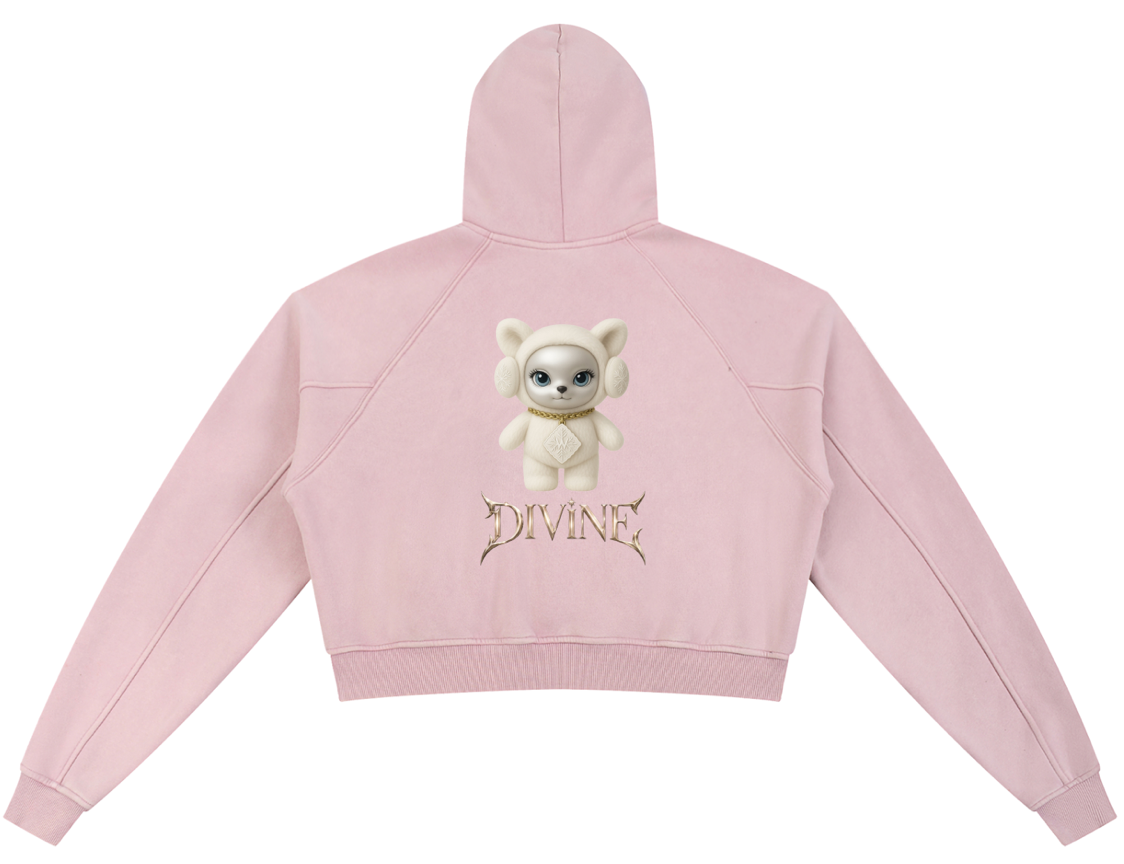 Divine Crop Hoodie in Light Pink — back, flat lay